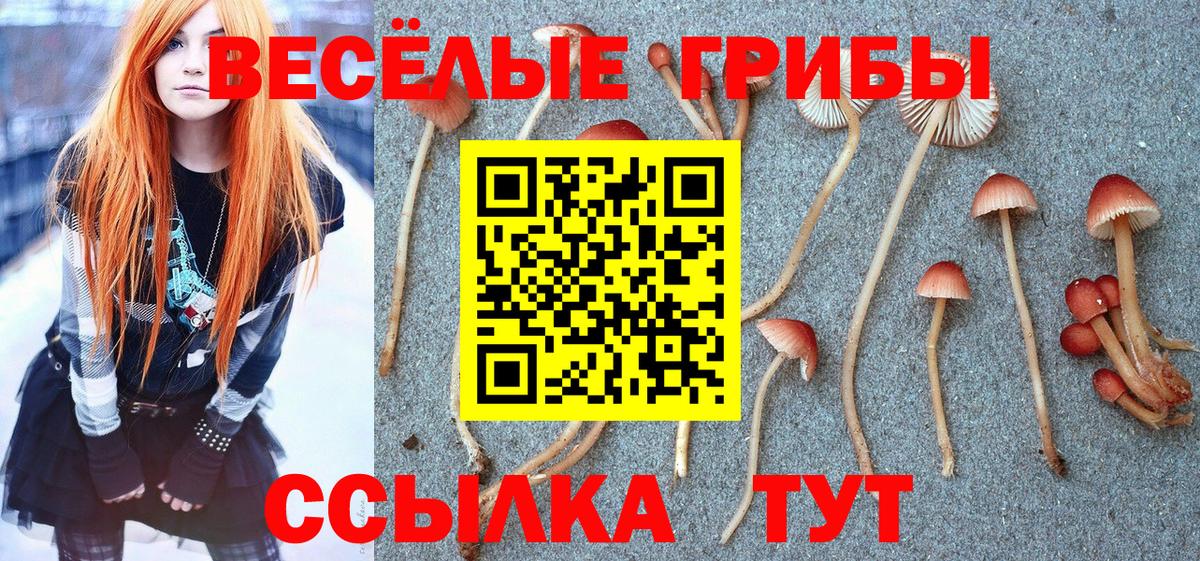 Псилоцибиновые грибы мицелий Белореченск